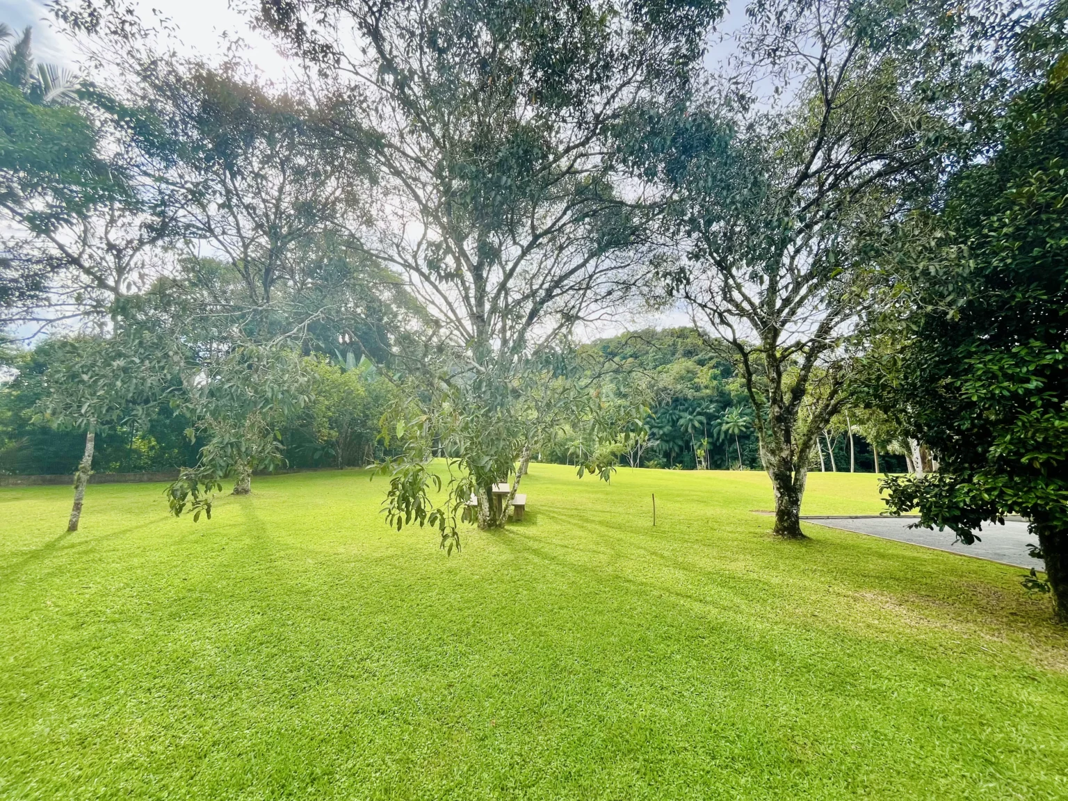 Estrutura Clube Locomotiva Eventos